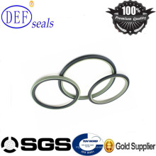 High Technology PTFE Rod Seal for Valve Industry